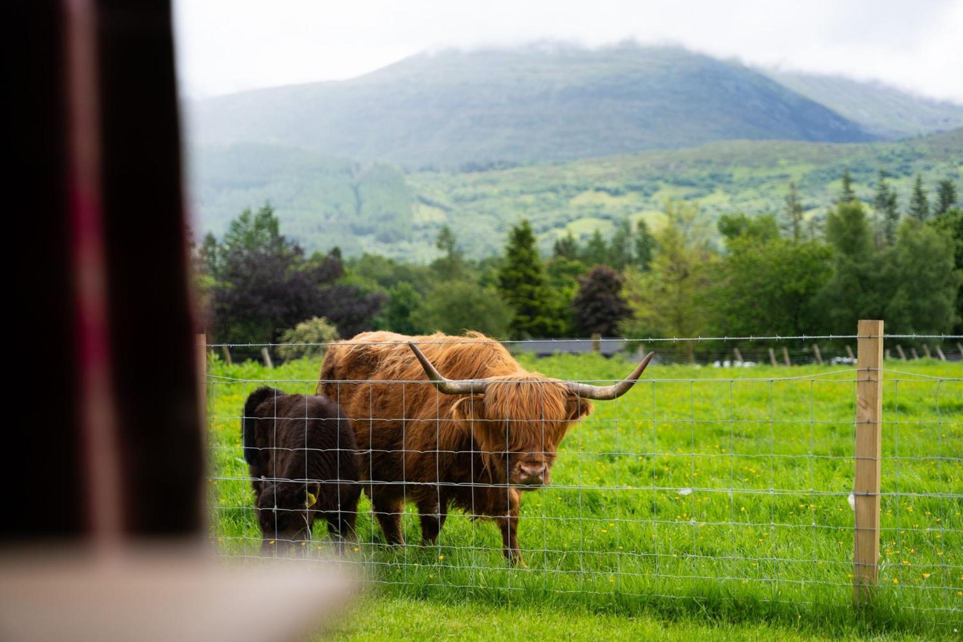 Willa Ben Nevis Pod Fort William Zewnętrze zdjęcie